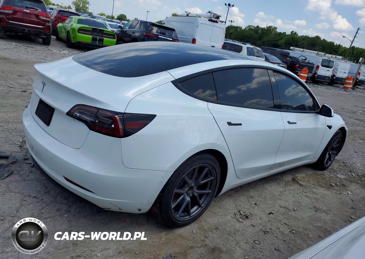2022 Tesla Model 3 VIN:5YJ3E1EA5NF111979 - 3