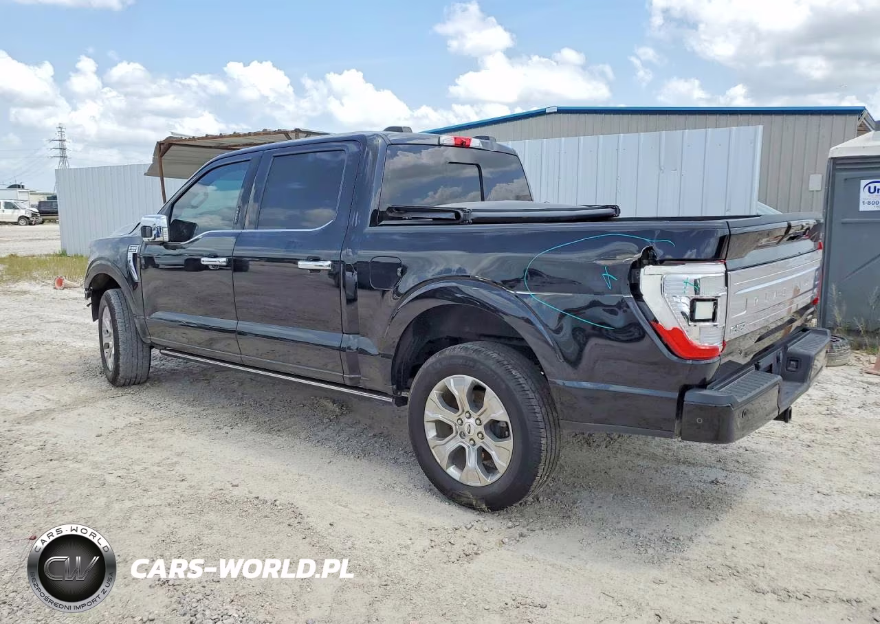 2022 Ford F-150 Platinum VIN:1FTFW1E81NFA92480 - 2