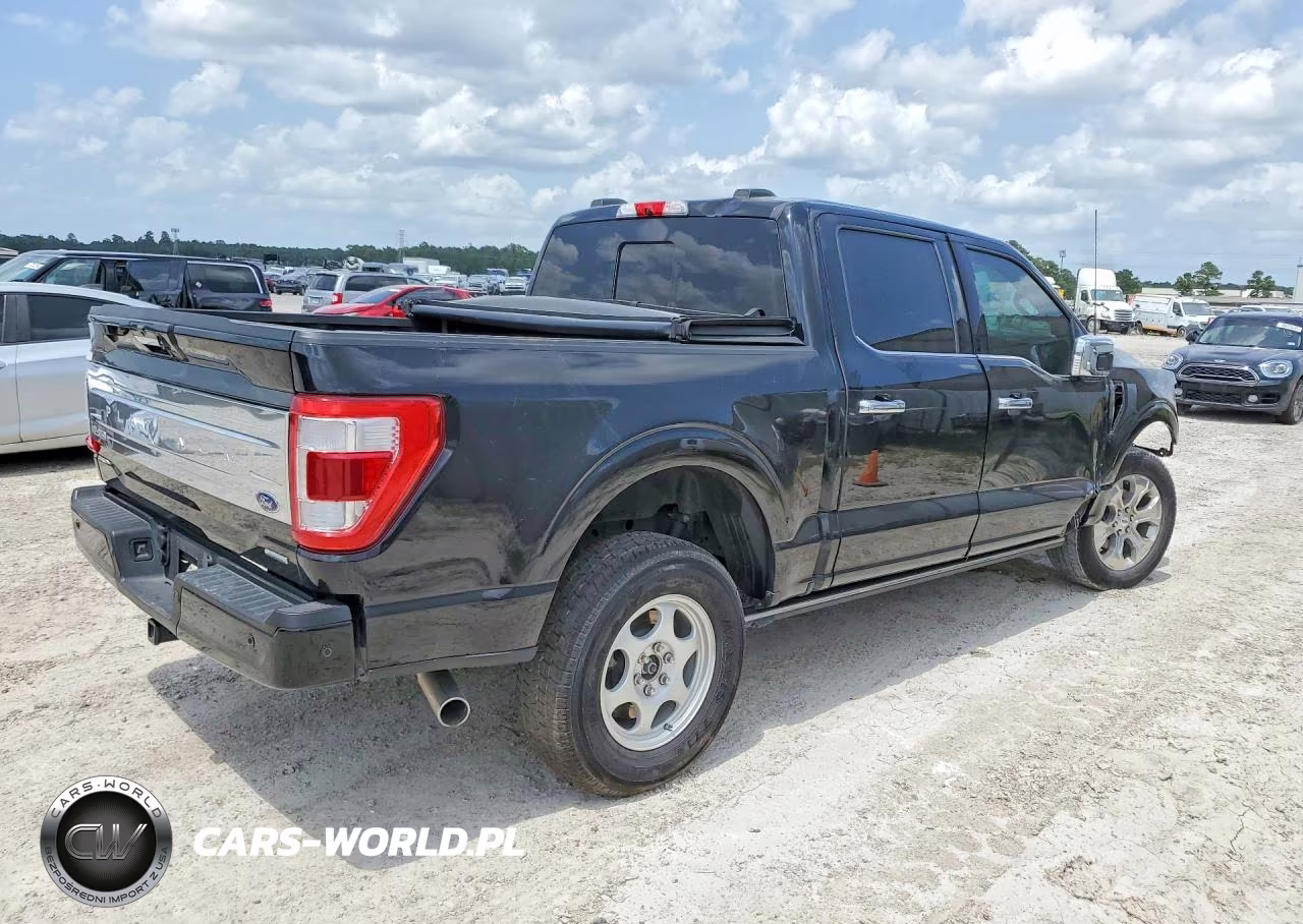 2022 Ford F-150 Platinum VIN:1FTFW1E81NFA92480 - 3