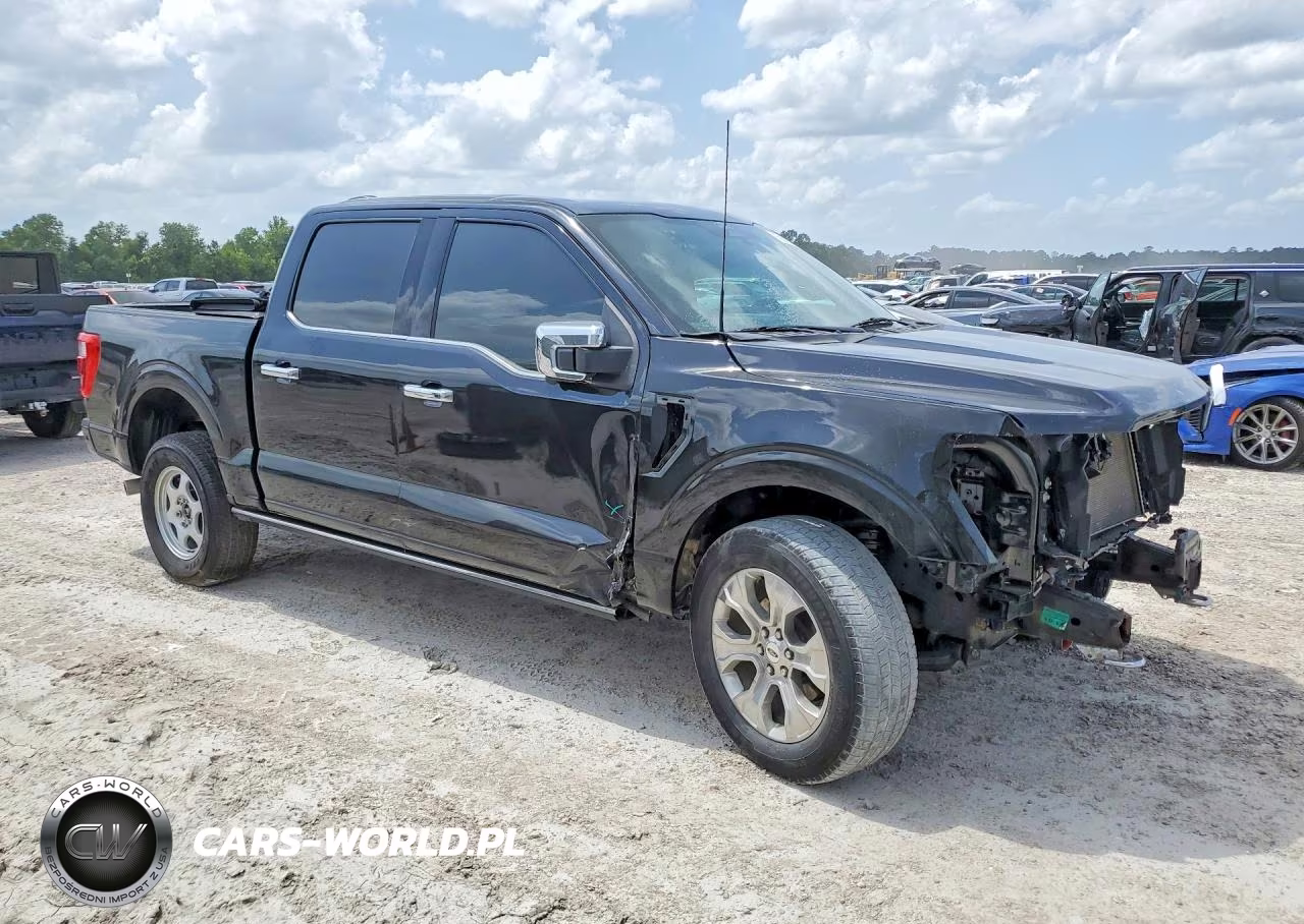 2022 Ford F-150 Platinum VIN:1FTFW1E81NFA92480 - 4