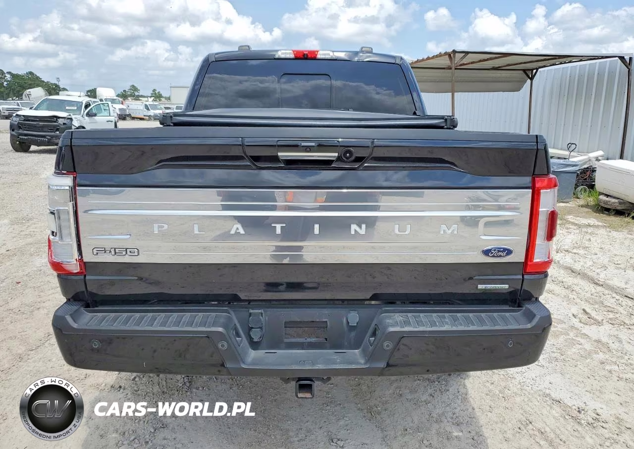 2022 Ford F-150 Platinum VIN:1FTFW1E81NFA92480 - 6
