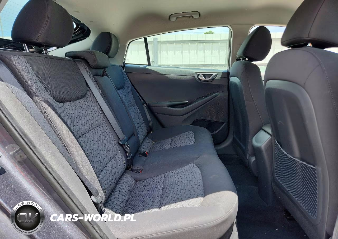 2017 Hyundai Ioniq Sel VIN:KMHC75LC3HU019010 - 10