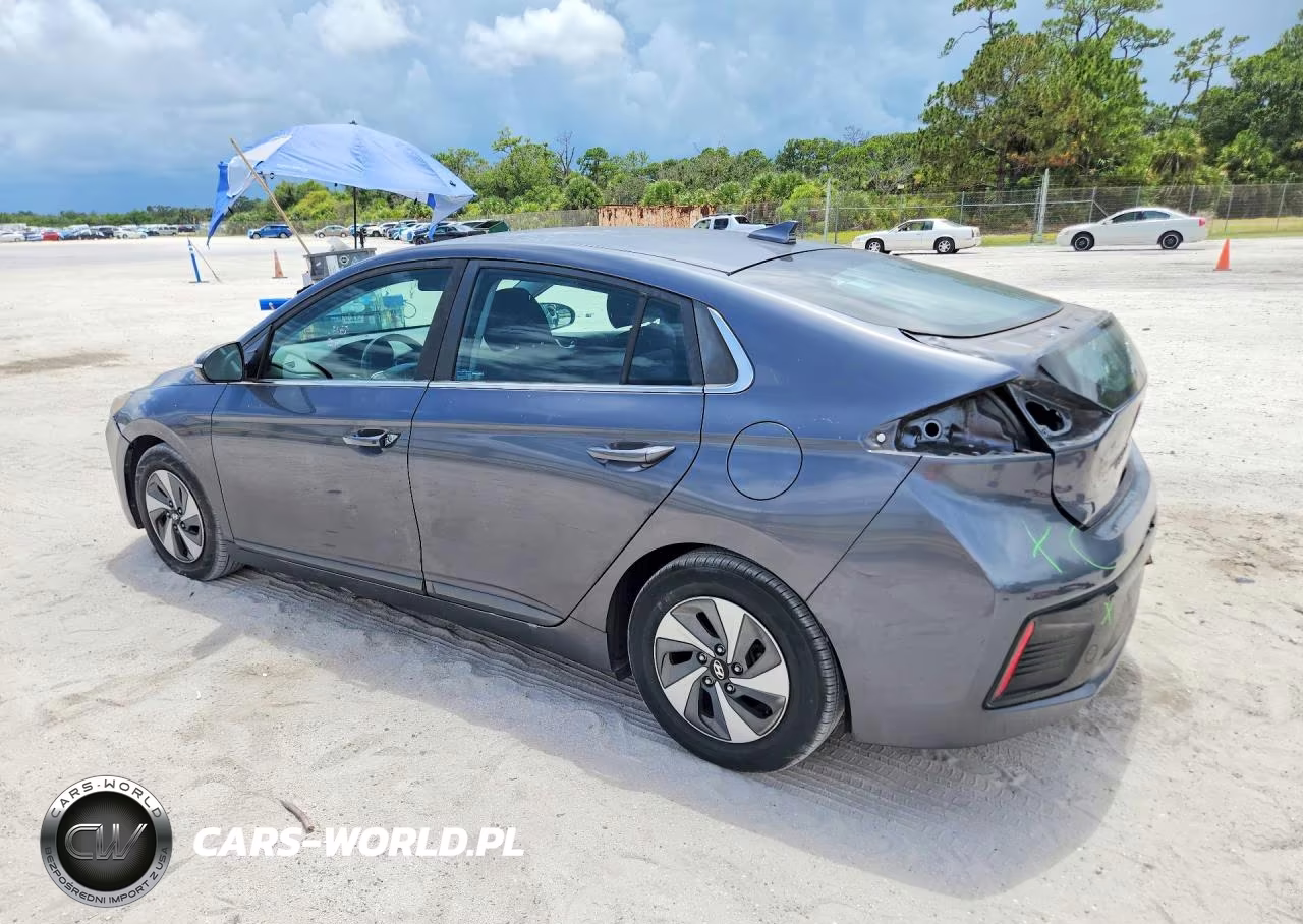 2017 Hyundai Ioniq Sel VIN:KMHC75LC3HU019010 - 2