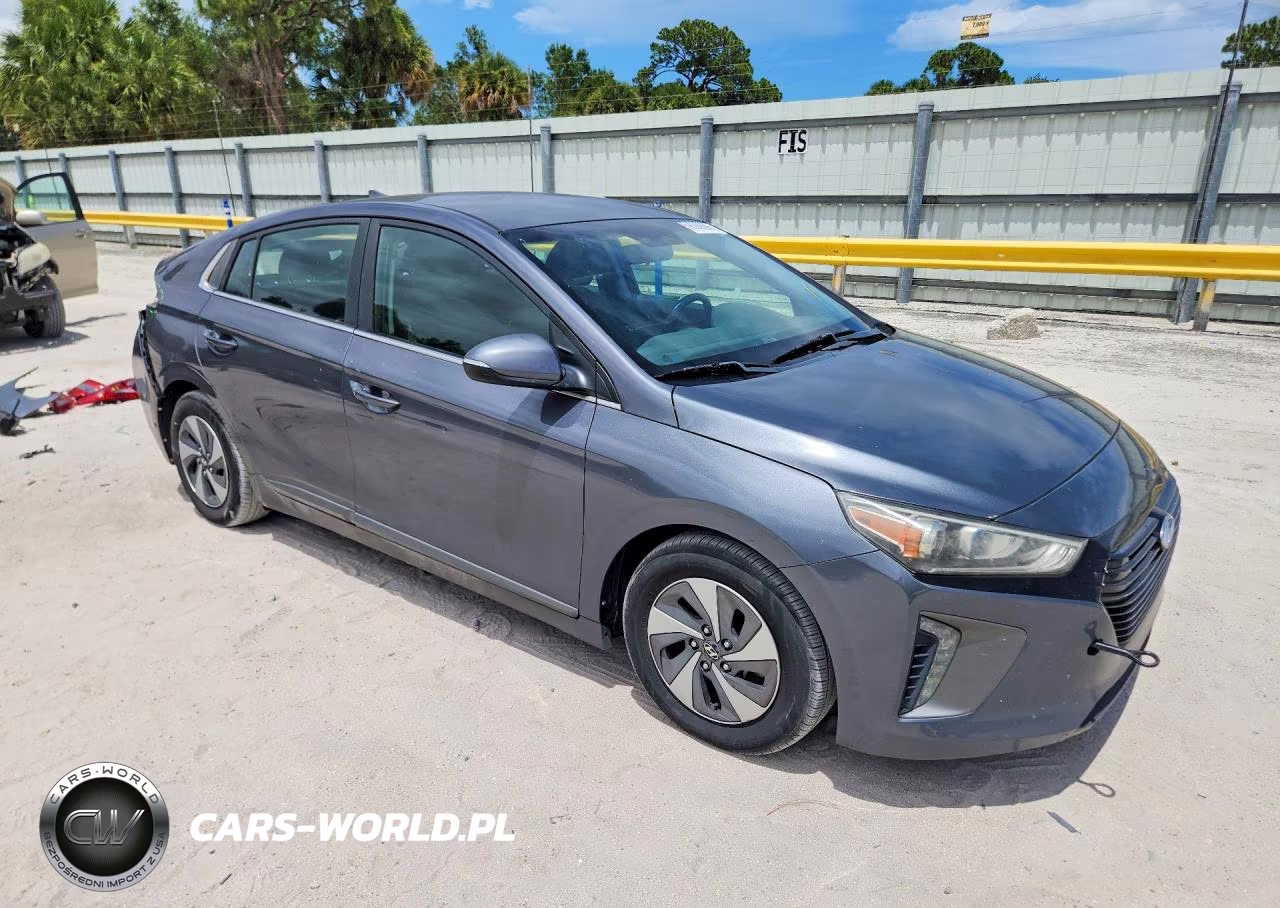 2017 Hyundai Ioniq Sel VIN:KMHC75LC3HU019010 - 4