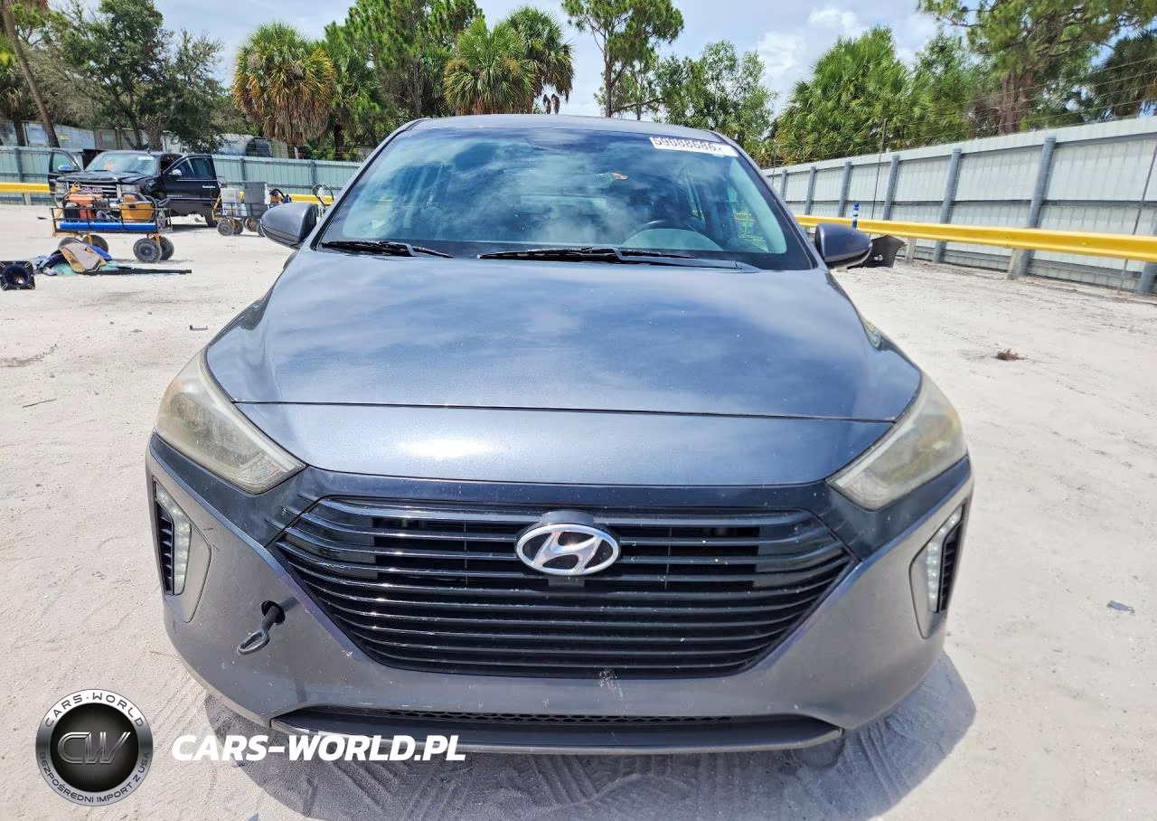 2017 Hyundai Ioniq Sel VIN:KMHC75LC3HU019010 - 5