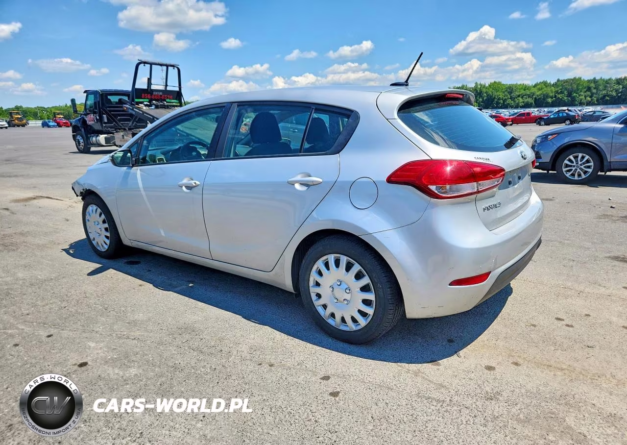 2016 Kia Forte Lx VIN:KNAFK5A83G5525165 - 2