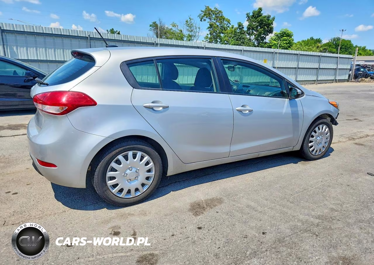 2016 Kia Forte Lx VIN:KNAFK5A83G5525165 - 3