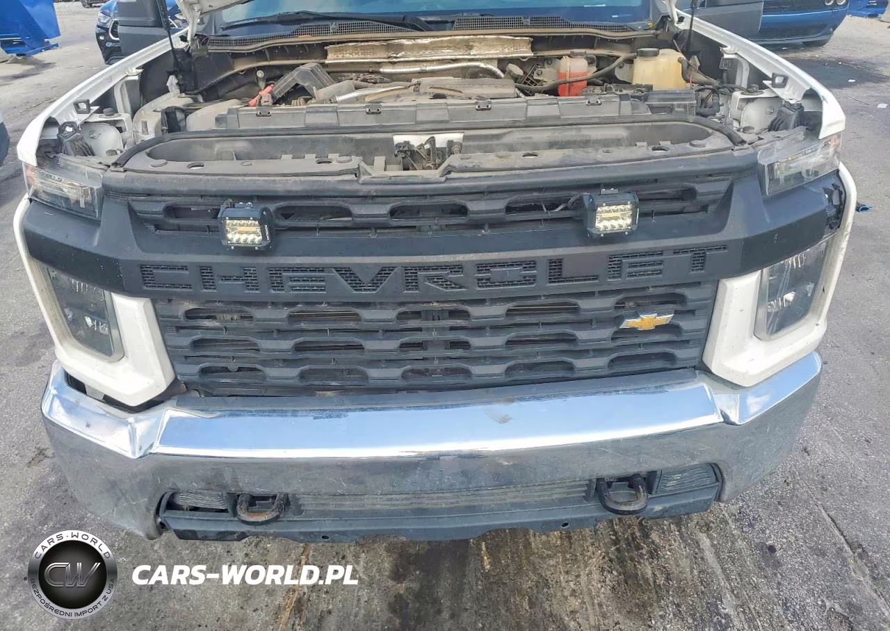 2020 Chevrolet Silverado K2500 Heavy Duty VIN:1GC4YLEY0LF197960 - 11