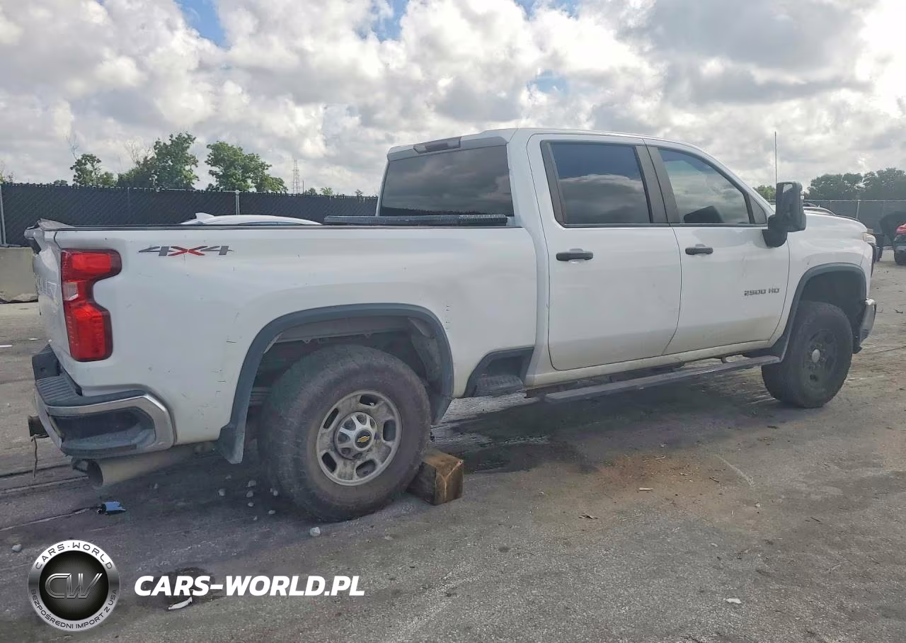 2020 Chevrolet Silverado K2500 Heavy Duty VIN:1GC4YLEY0LF197960 - 3