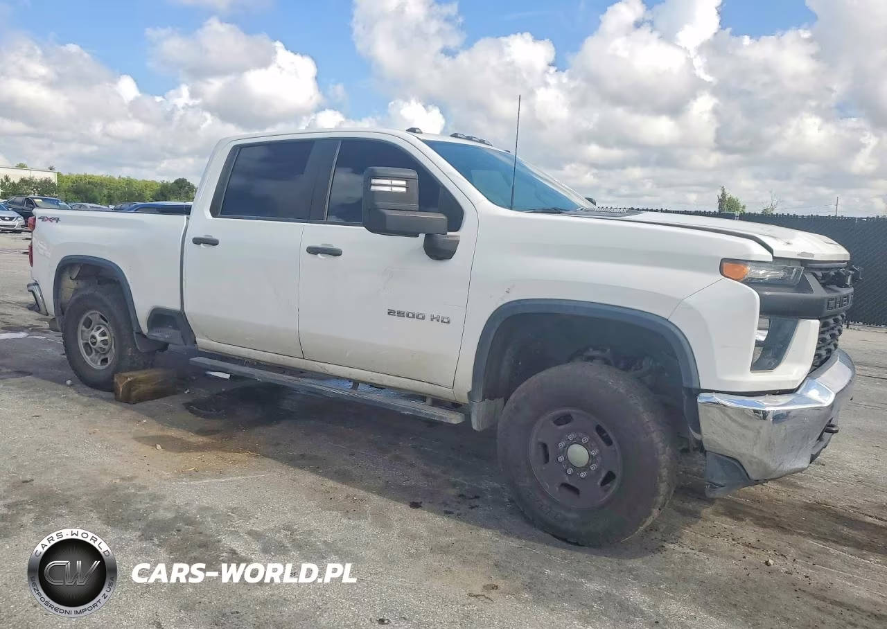 2020 Chevrolet Silverado K2500 Heavy Duty VIN:1GC4YLEY0LF197960 - 4