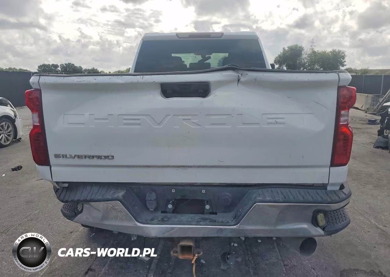 2020 Chevrolet Silverado K2500 Heavy Duty VIN:1GC4YLEY0LF197960 - 6