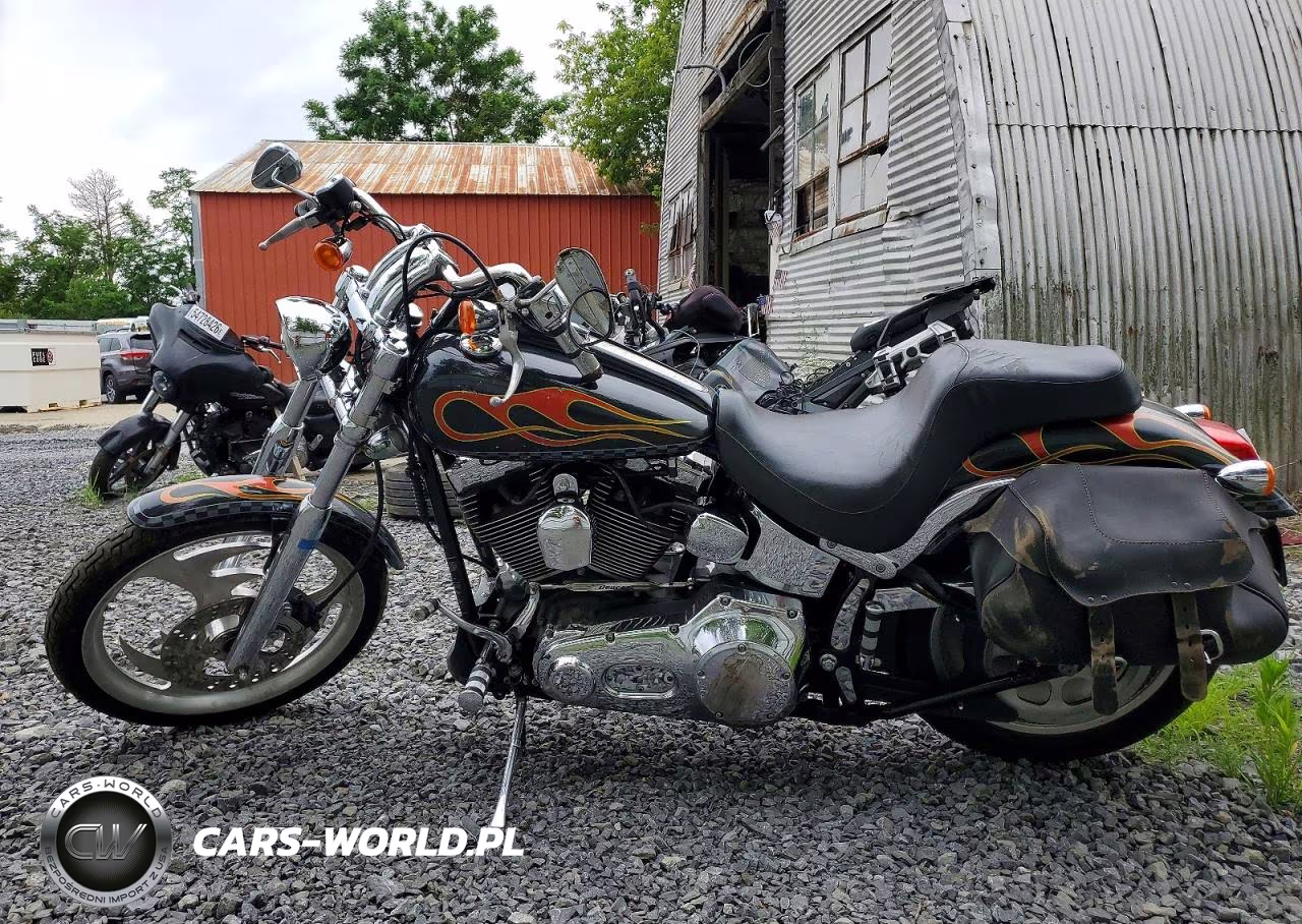 2001 Harley-Davidson Fxstdi VIN:1HD1JBB371Y052151 - 3