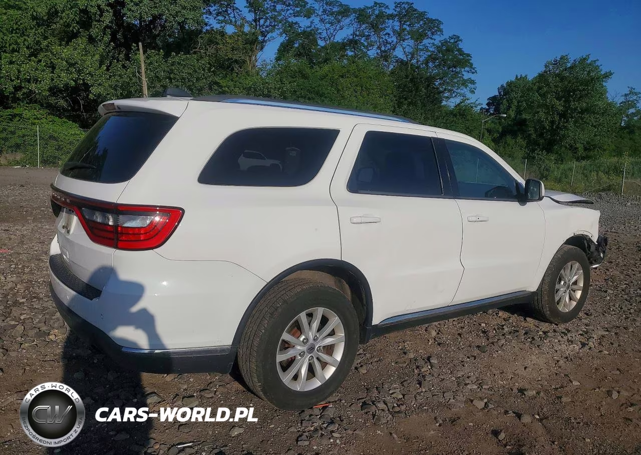 2020 Dodge Durango VIN:1C4RDJAG9LC124798 - 3