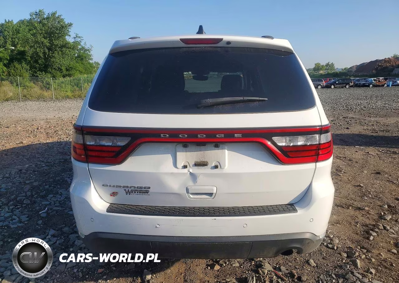 2020 Dodge Durango VIN:1C4RDJAG9LC124798 - 6