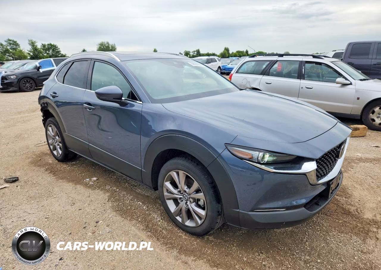 2020 Mazda Cx-30 Premium VIN:3MVDMBEM6LM108961 - 4