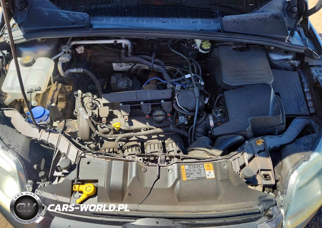 2014 Ford Focus Se VIN:1FADP3K28EL458121 - 11