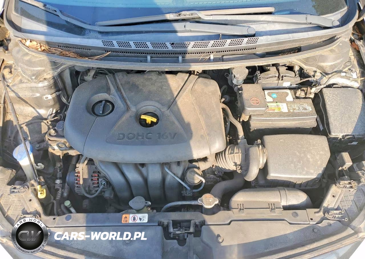 2014 Kia Forte Lx VIN:KNAFX4A62E5155172 - 11