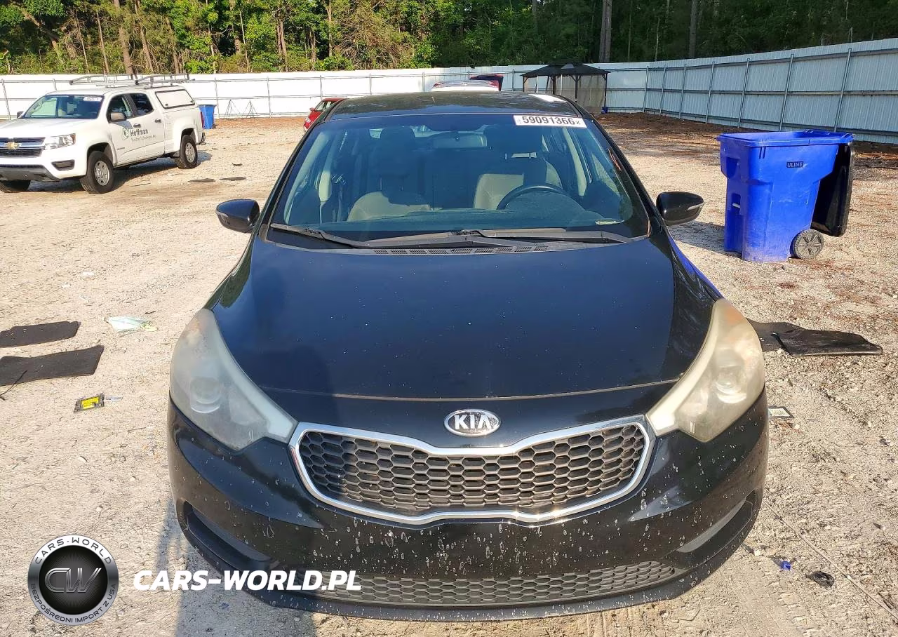 2014 Kia Forte Lx VIN:KNAFX4A62E5155172 - 5