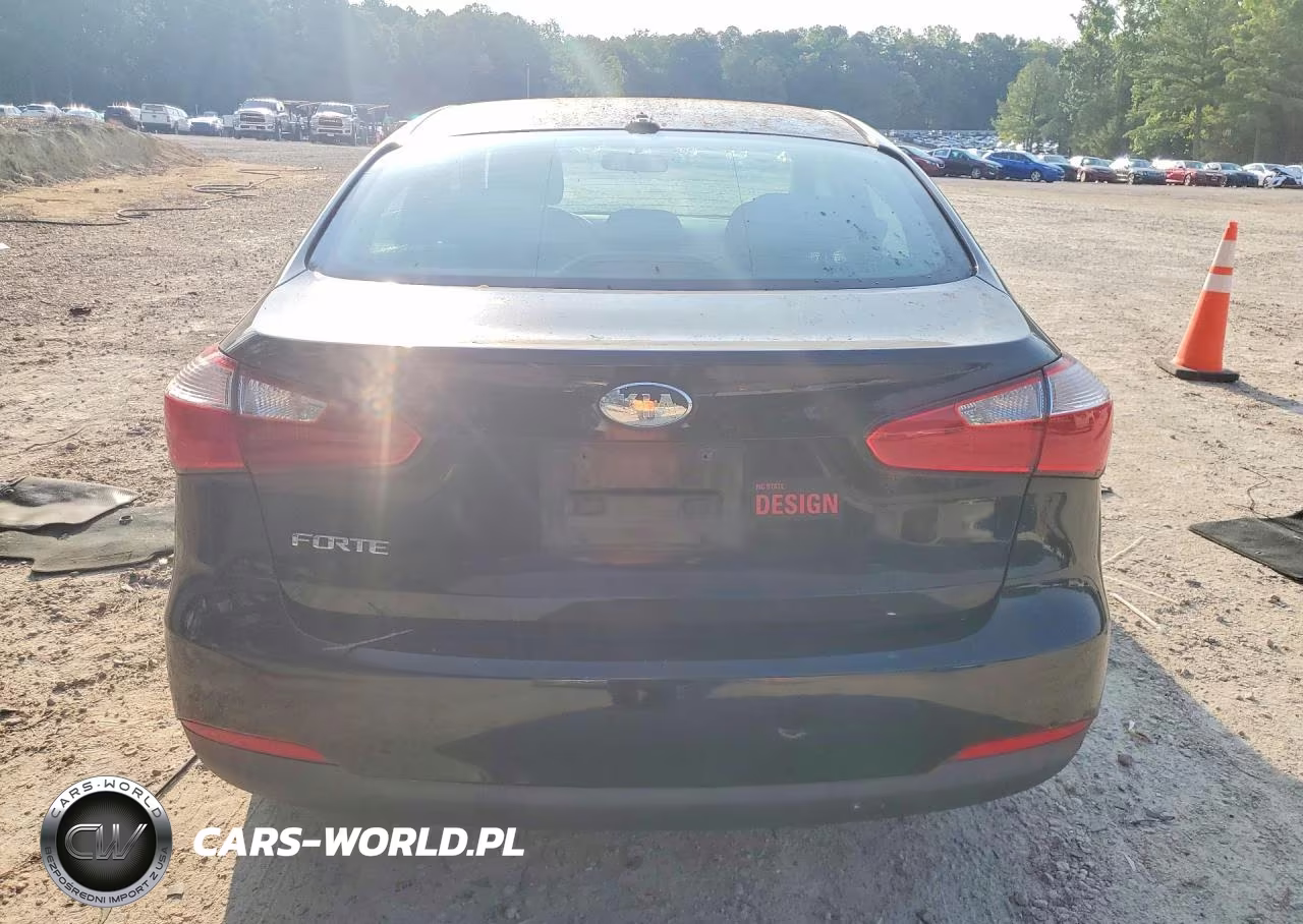 2014 Kia Forte Lx VIN:KNAFX4A62E5155172 - 6