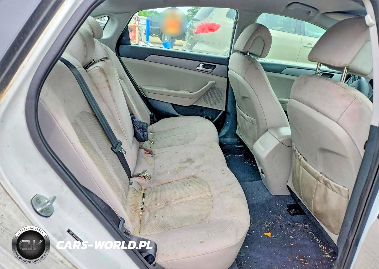 2016 Hyundai Sonata Se VIN:5NPE24AF9GH295218 - 10