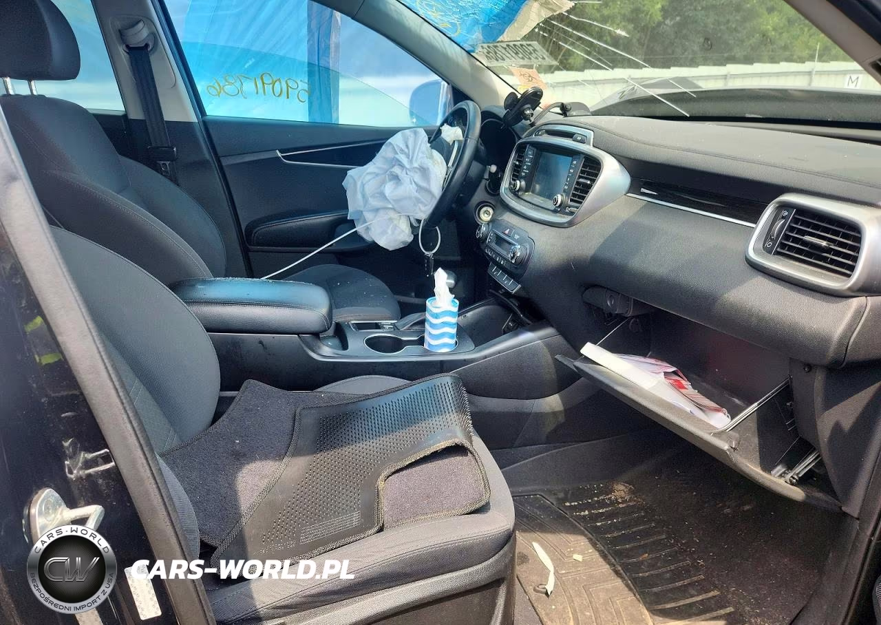 2019 Kia Sorento Lx VIN:5XYPG4A31KG596601 - 7