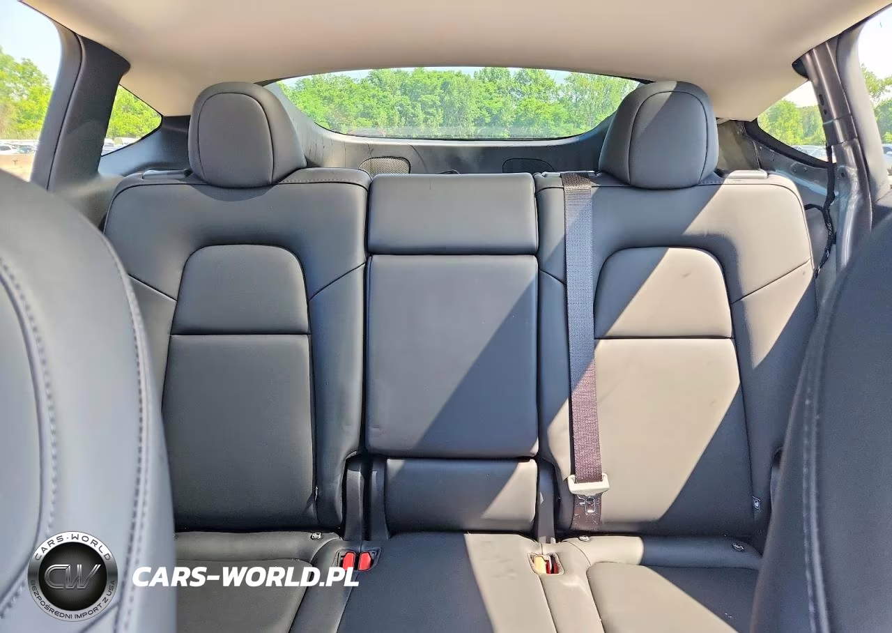 2024 Tesla Model Y VIN:7SAYGDEE2RA322678 - 10