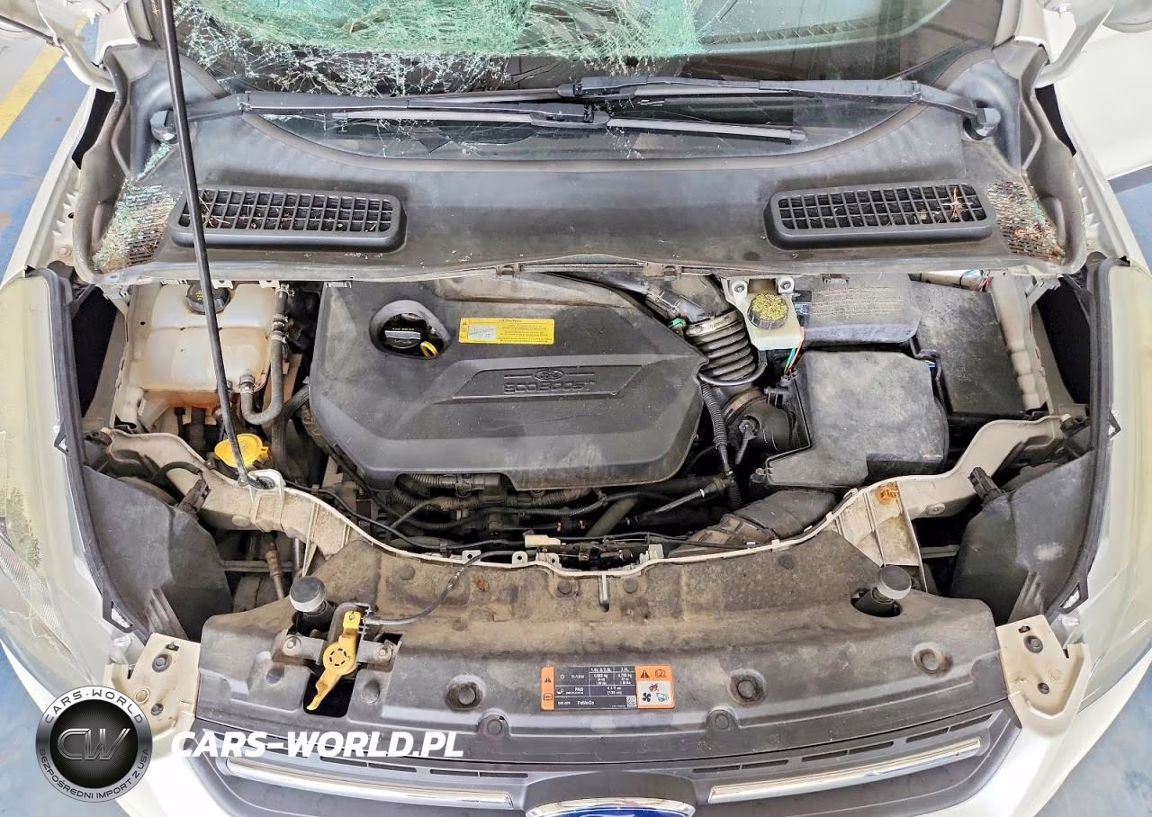 2014 Ford Escape Se VIN:1FMCU0GX9EUC43063 - 11