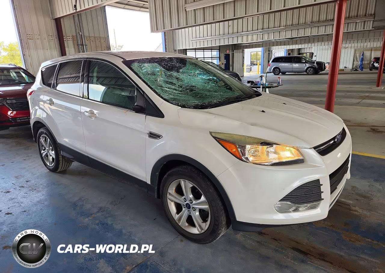 2014 Ford Escape Se VIN:1FMCU0GX9EUC43063 - 4