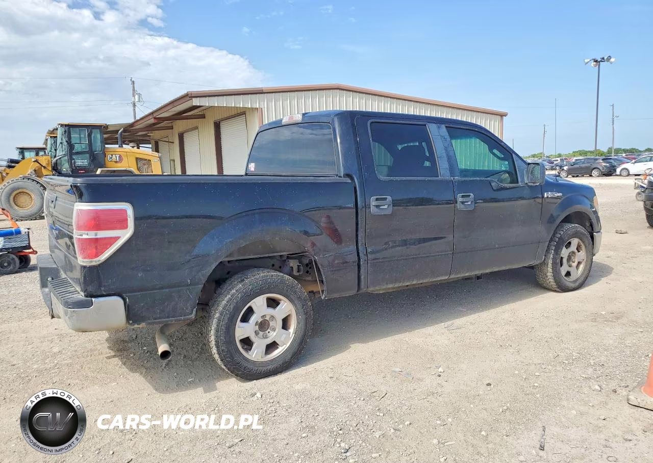 2009 Ford F150 Supercrew VIN:1FTRW12819FA17897 - 3