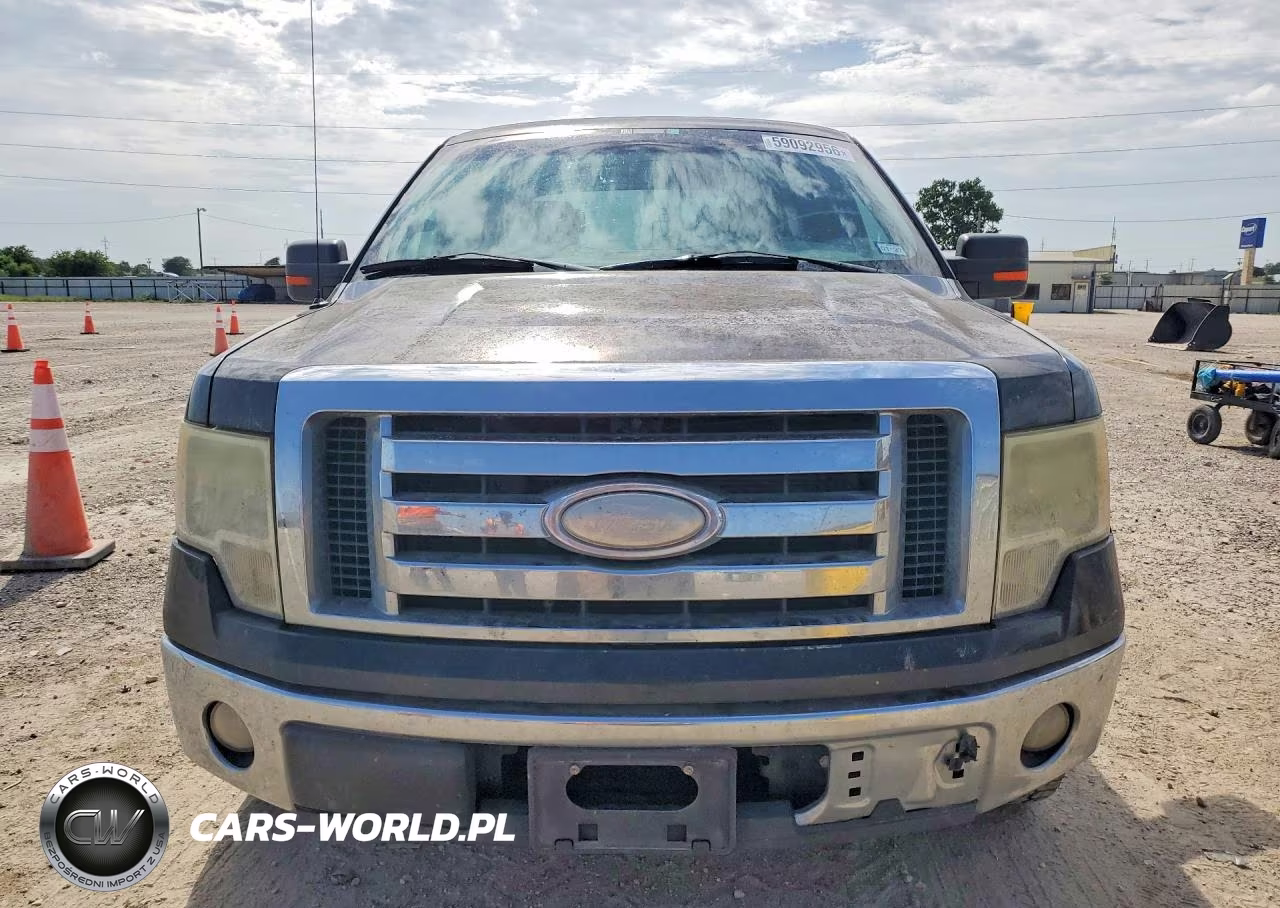 2009 Ford F150 Supercrew VIN:1FTRW12819FA17897 - 5