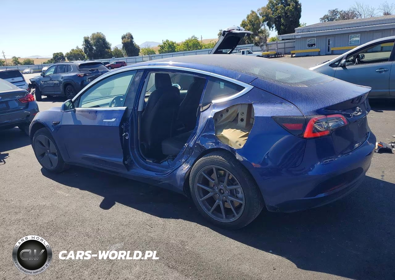 2020 Tesla Model 3 VIN:5YJ3E1EA0LF706042 - 2
