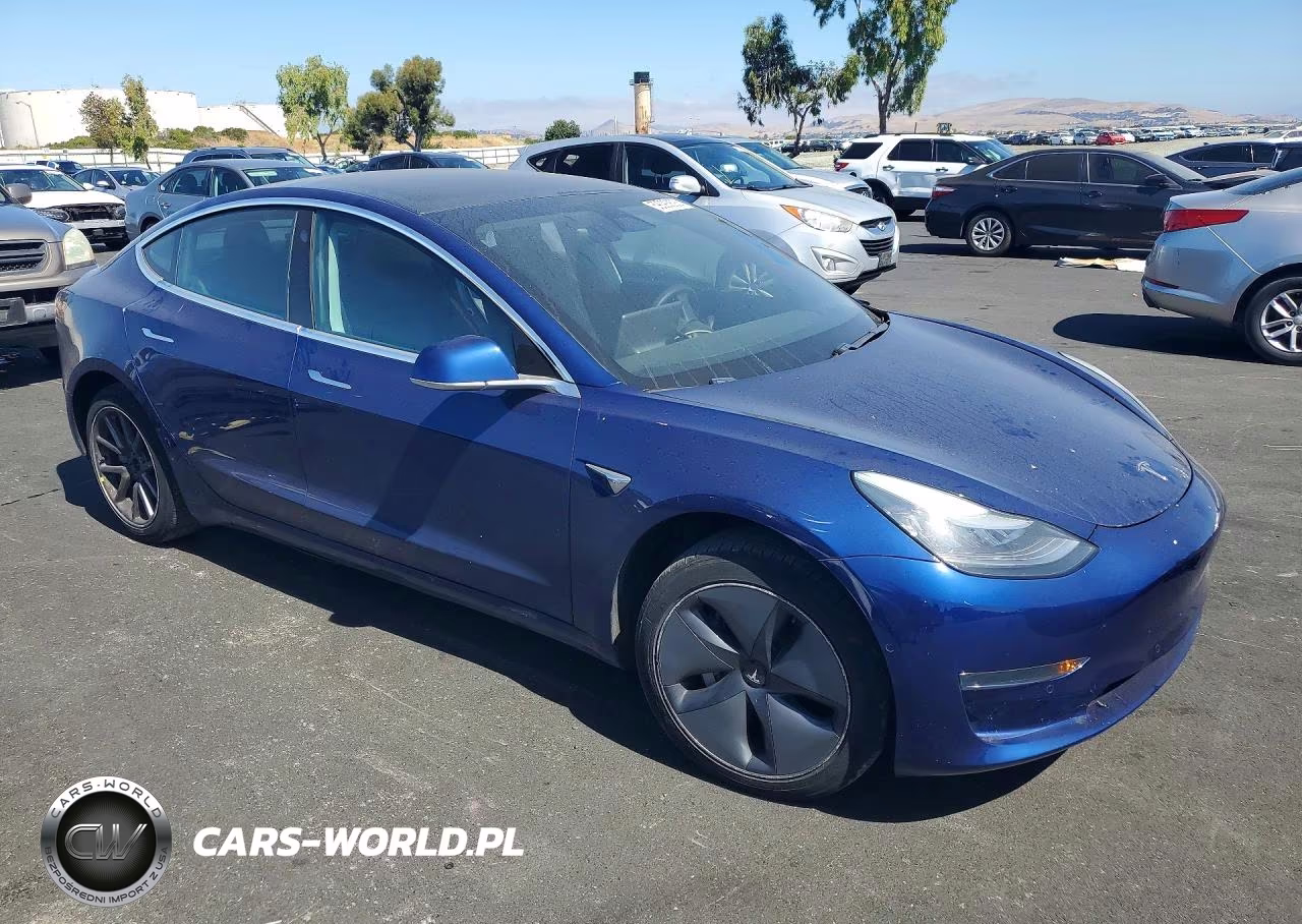 2020 Tesla Model 3 VIN:5YJ3E1EA0LF706042 - 4