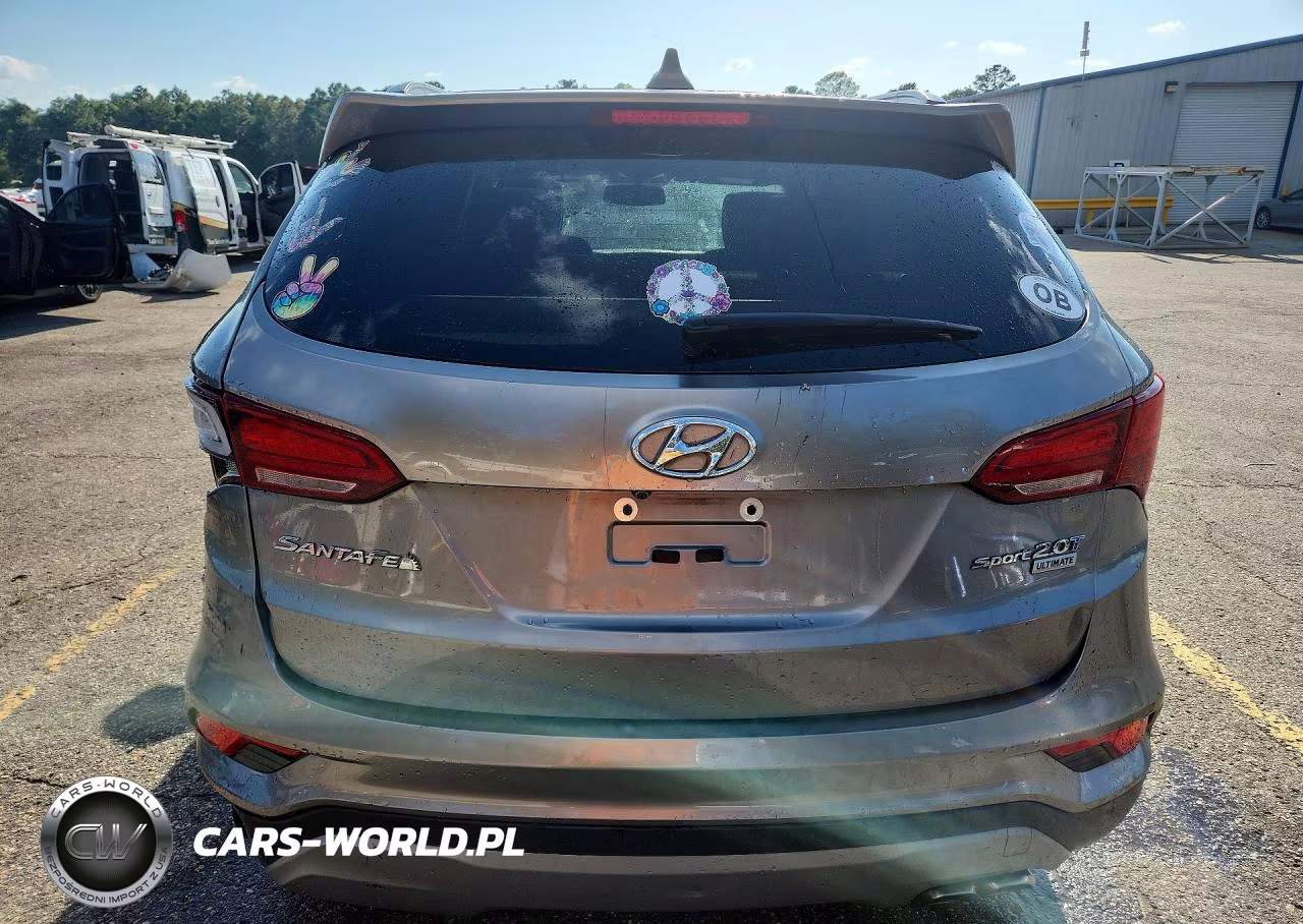 2017 Hyundai Santa Fe Sport 2.0T Ultimate VIN:5XYZW4LA2HG406093 - 6