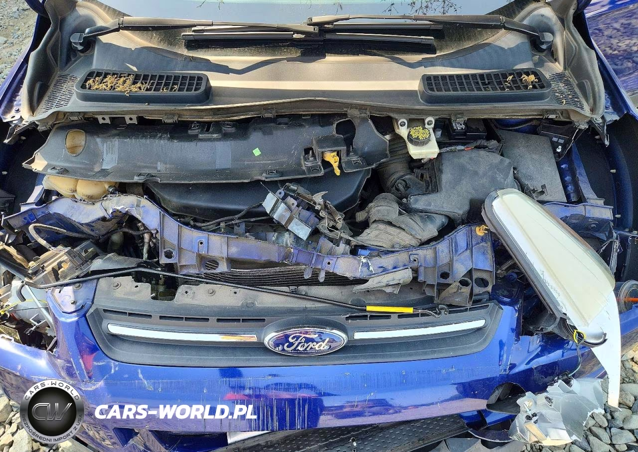 2014 Ford Escape Se VIN:1FMCU9G95EUB31141 - 11