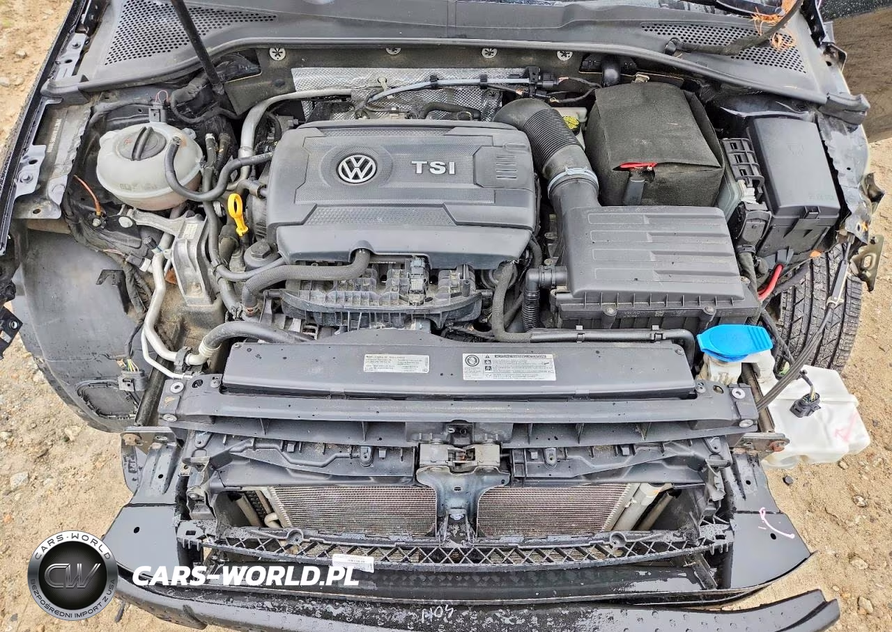2016 Volkswagen Golf Sportwagen S VIN:3VWC17AU9GM518889 - 12