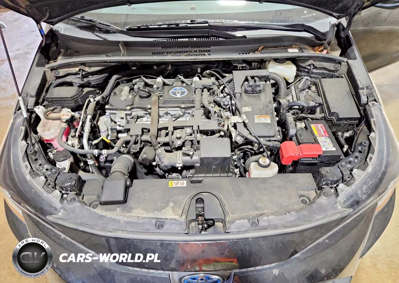 2021 Toyota Corolla Le VIN:JTDEAMDE6MJ006093 - 11