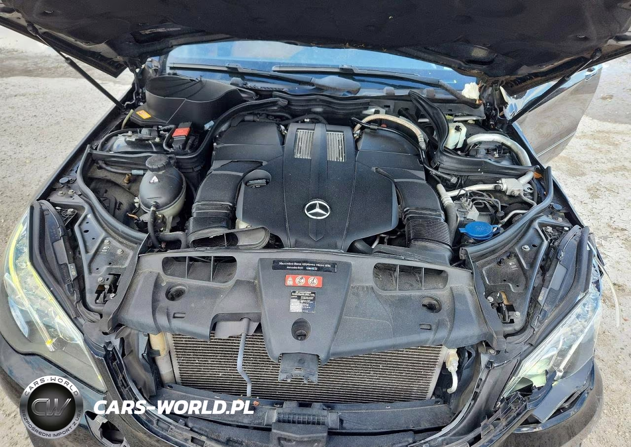 2015 Mercedes-Benz E 400 VIN:WDDKJ6FB3FF299979 - 11