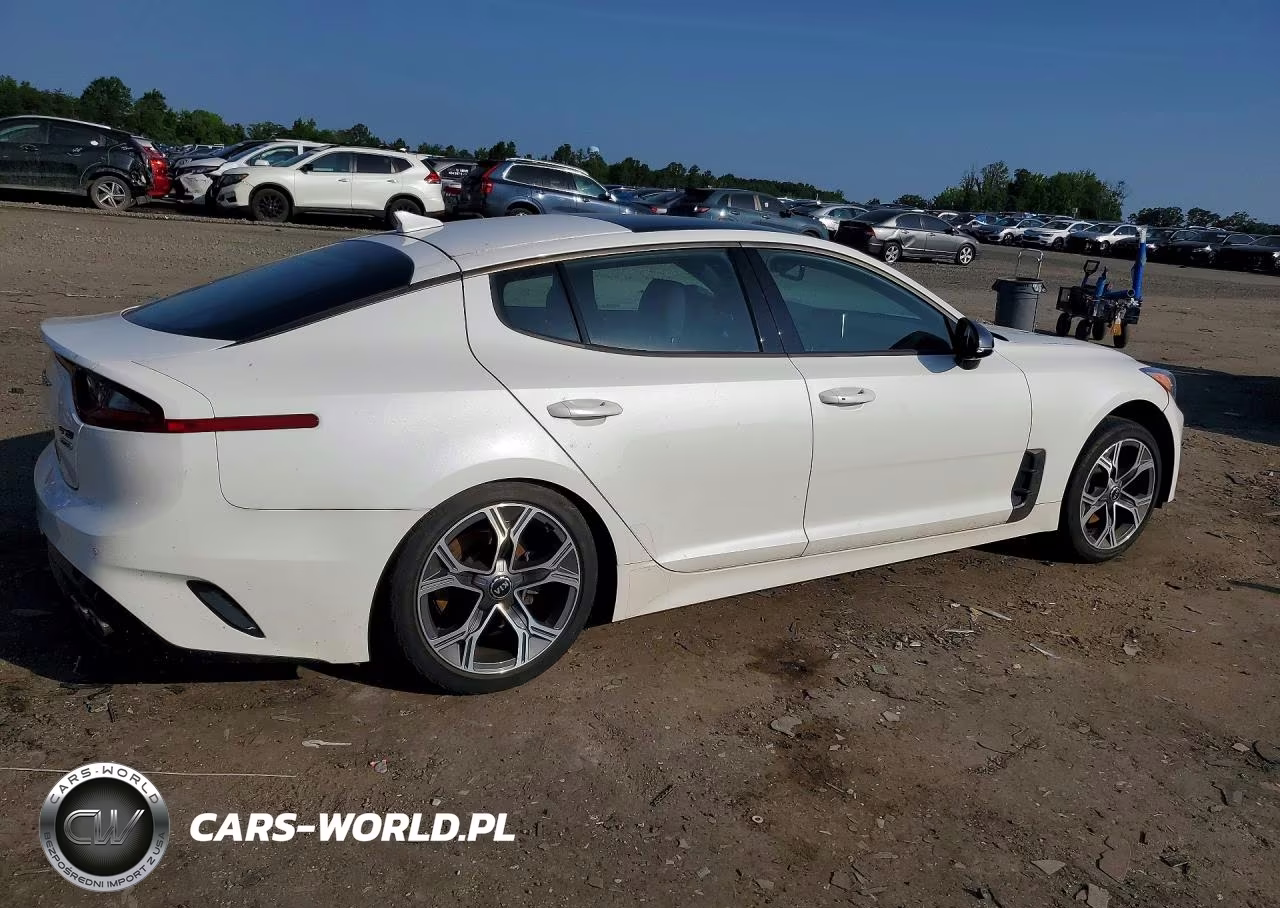 2020 Kia Stinger Gt-Line VIN:KNAE15LA1L6076457 - 3
