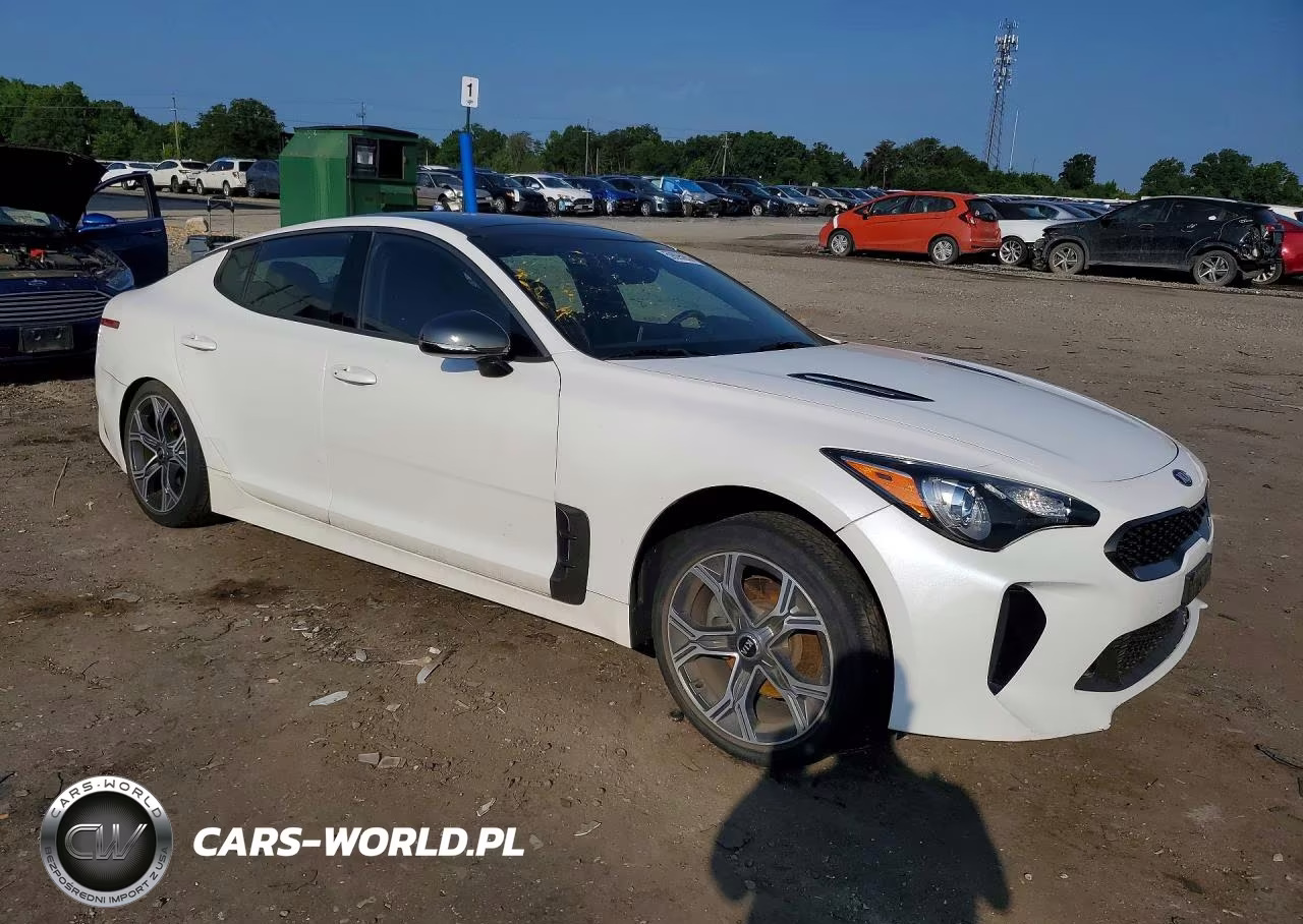 2020 Kia Stinger Gt-Line VIN:KNAE15LA1L6076457 - 4