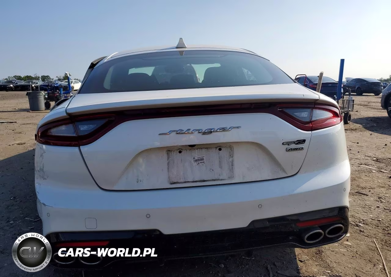 2020 Kia Stinger Gt-Line VIN:KNAE15LA1L6076457 - 6