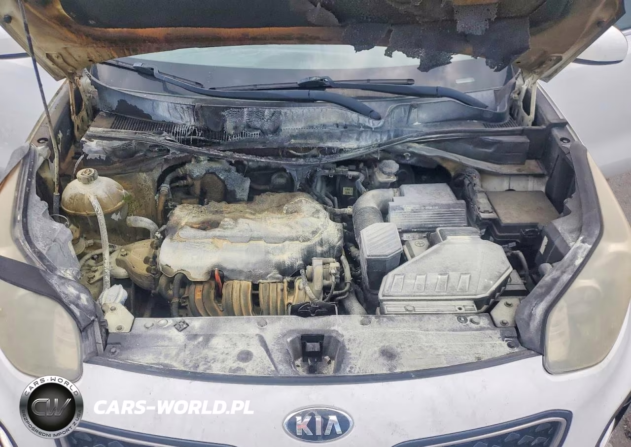 2017 Kia Sportage Lx VIN:KNDPMCAC3H7116325 - 11