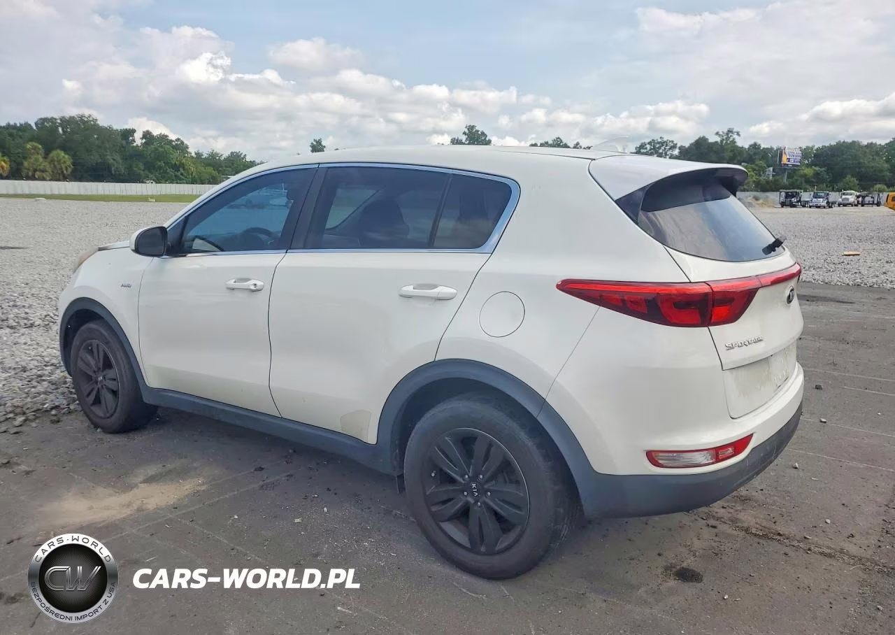 2017 Kia Sportage Lx VIN:KNDPMCAC3H7116325 - 2