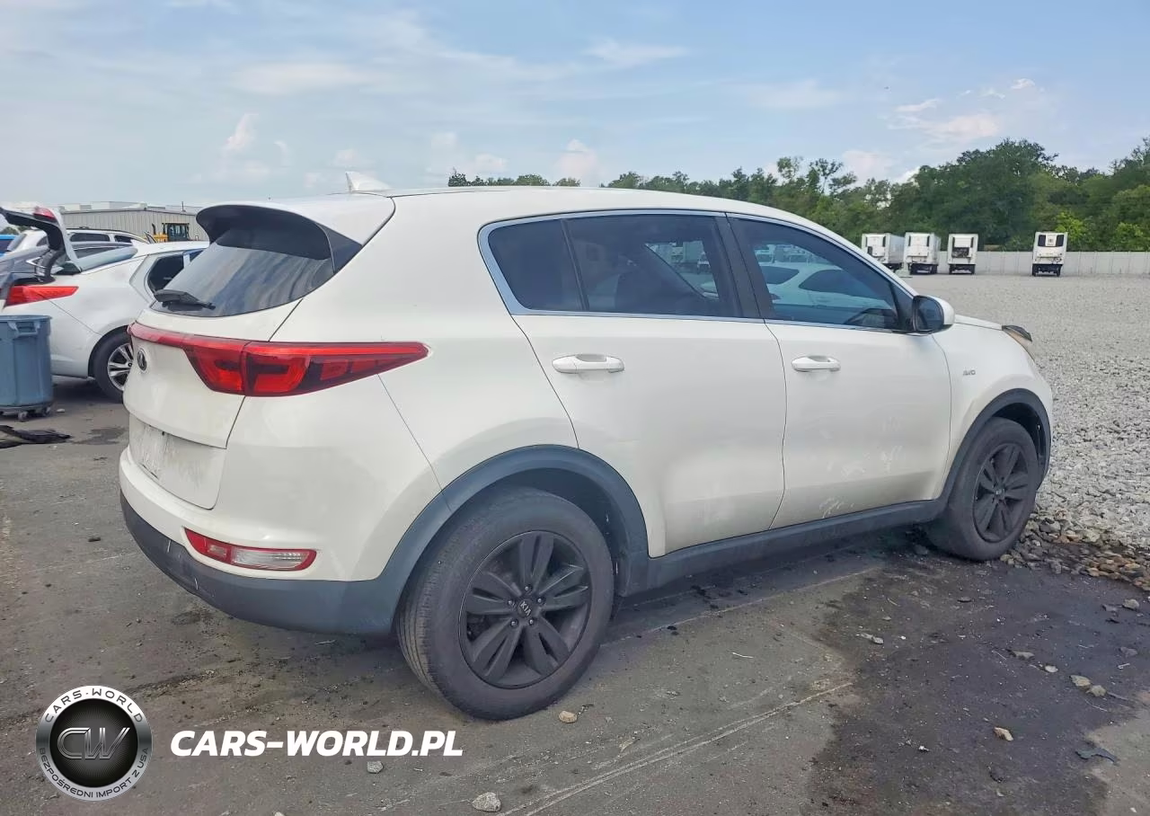 2017 Kia Sportage Lx VIN:KNDPMCAC3H7116325 - 3