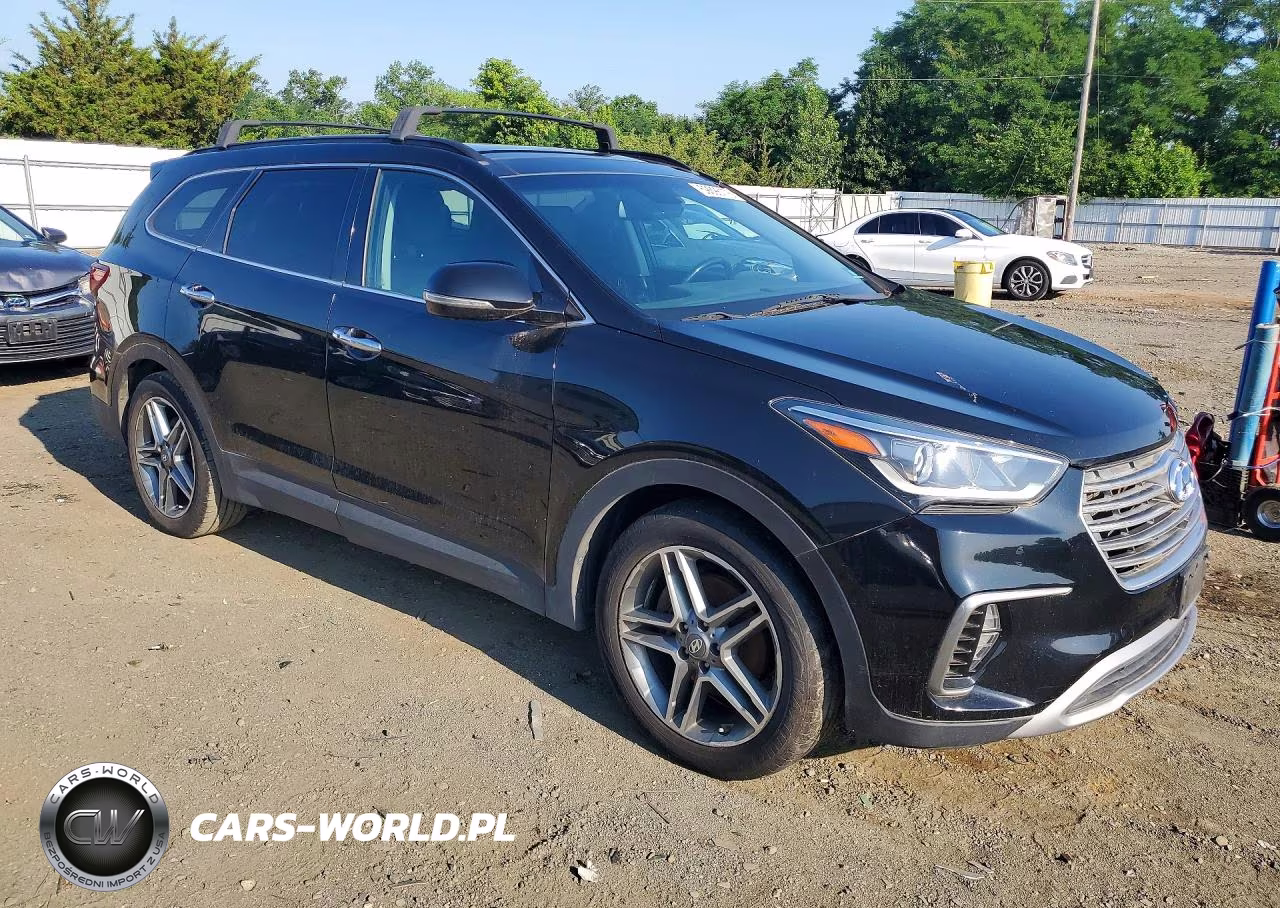 2017 Hyundai Santa Fe Se Ultimate VIN:KM8SRDHF0HU179879 - 4