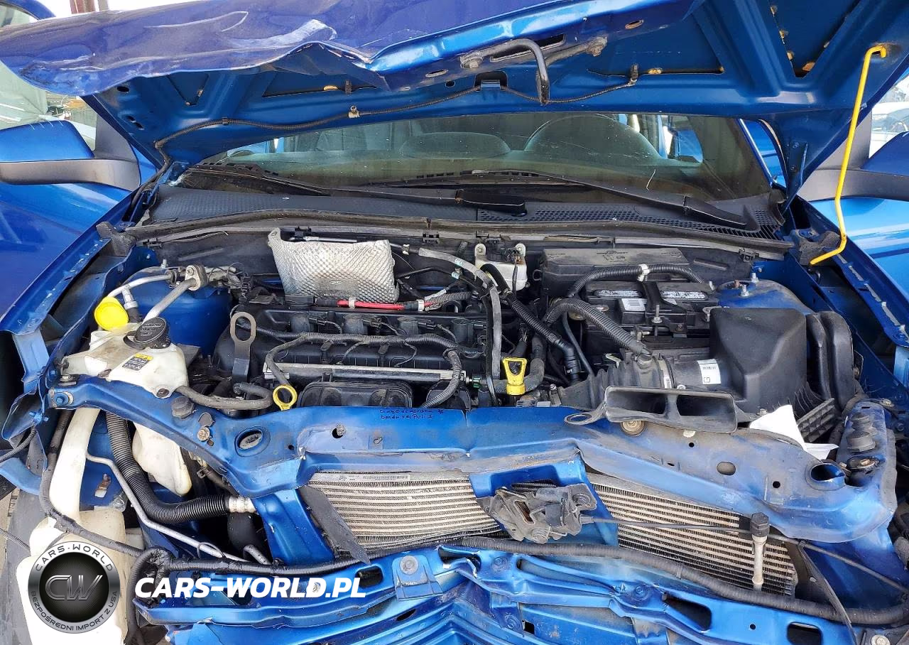 2010 Ford Focus Ses VIN:1FAHP3GN5AW197379 - 11