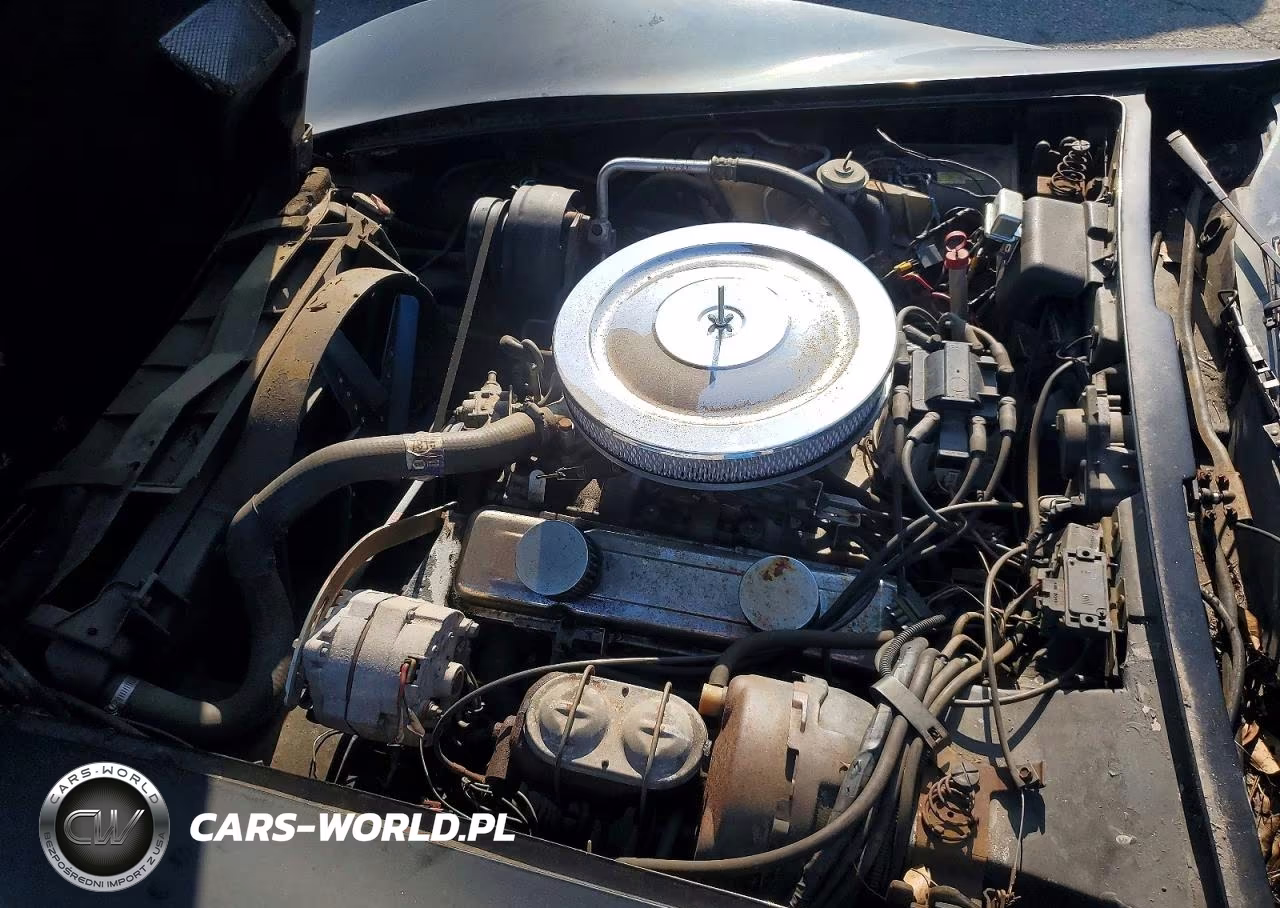 1982 Chevrolet Corvette VIN:1G1AY0783C5110520 - 11
