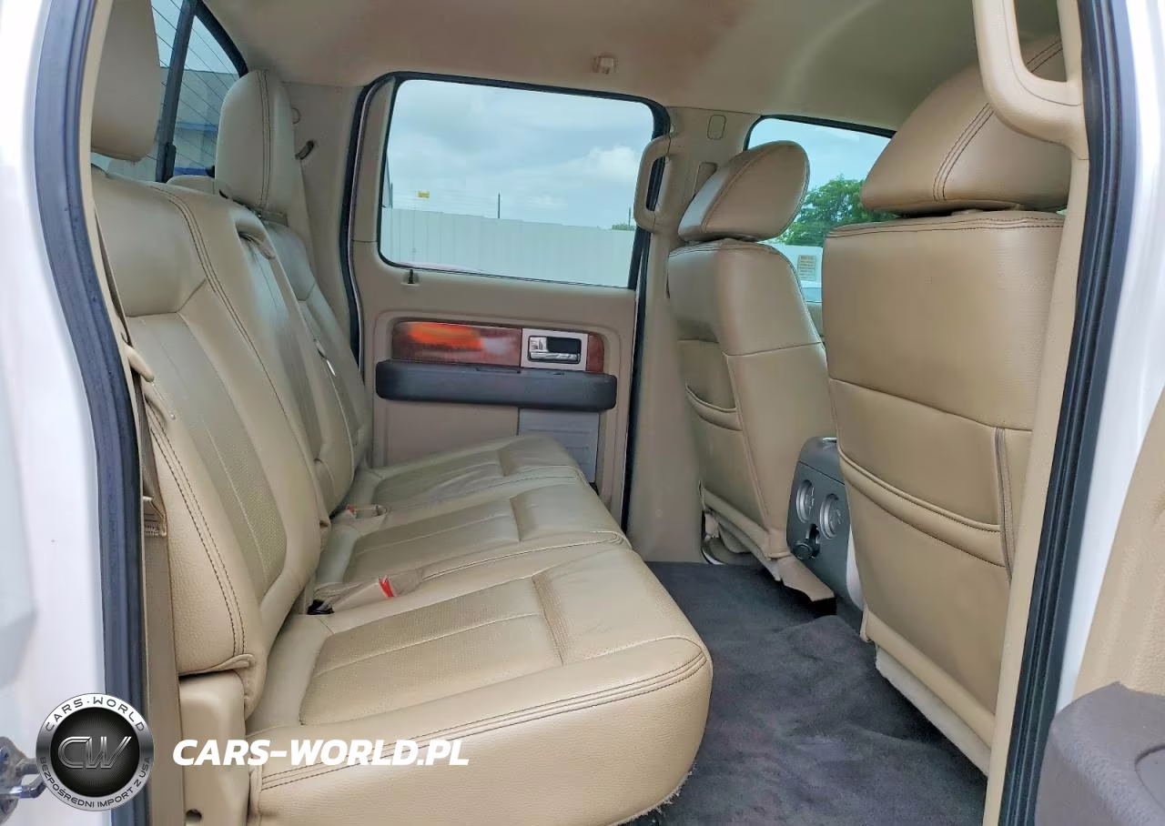 2010 Ford F150 Supercrew VIN:1FTFW1CV5AKA37847 - 10
