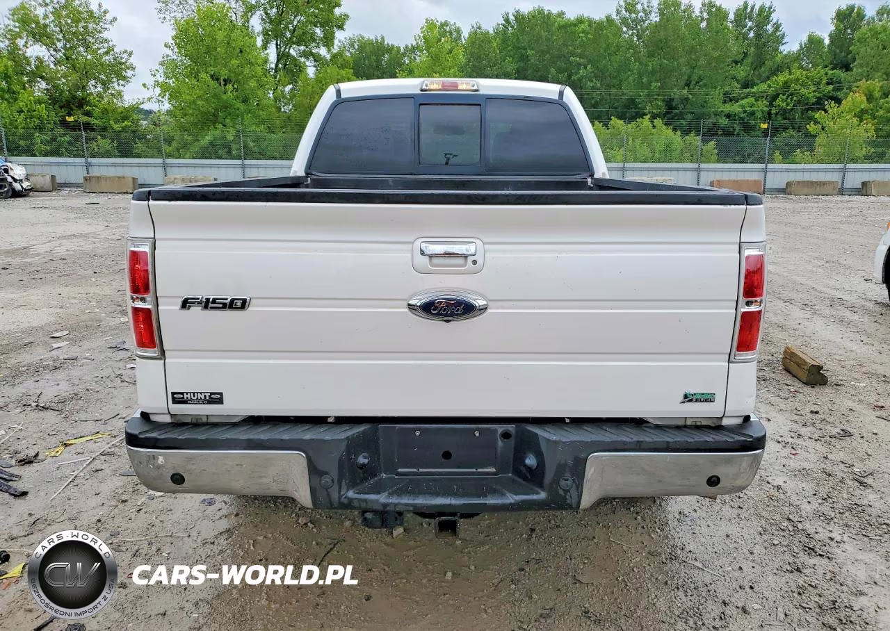 2010 Ford F150 Supercrew VIN:1FTFW1CV5AKA37847 - 6