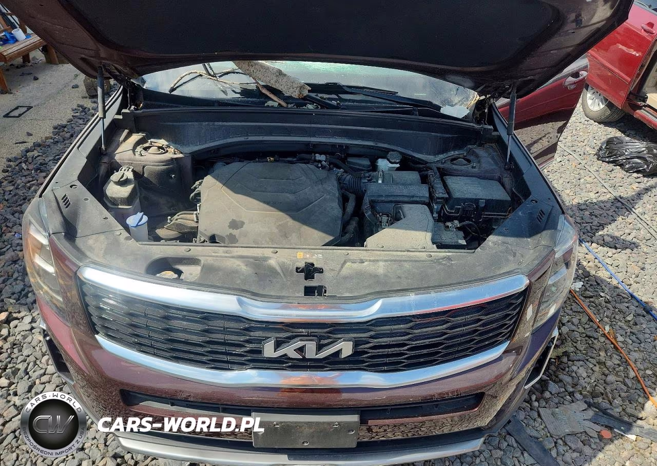 2022 Kia Telluride Ex VIN:5XYP34HC7NG232379 - 12