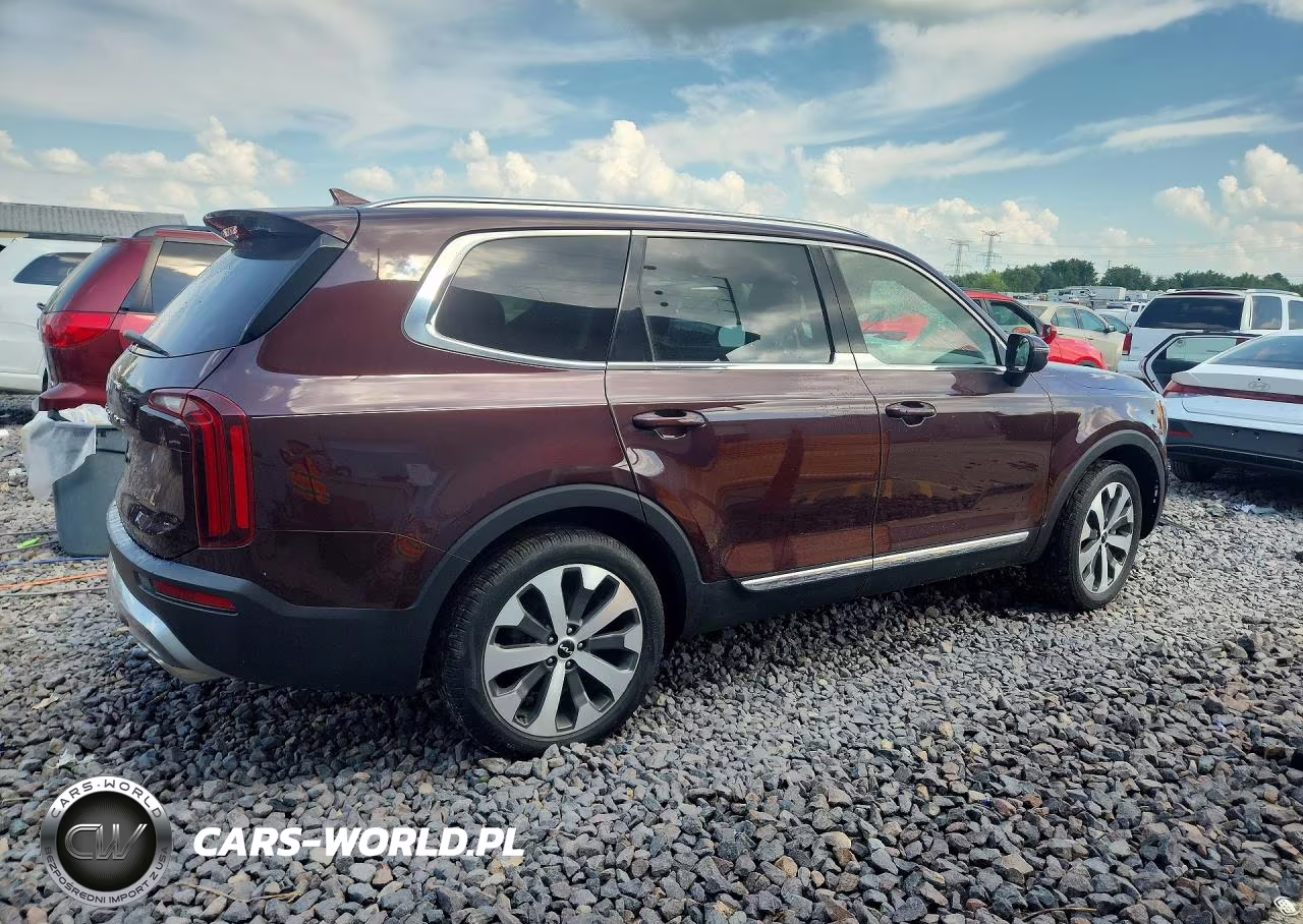 2022 Kia Telluride Ex VIN:5XYP34HC7NG232379 - 3
